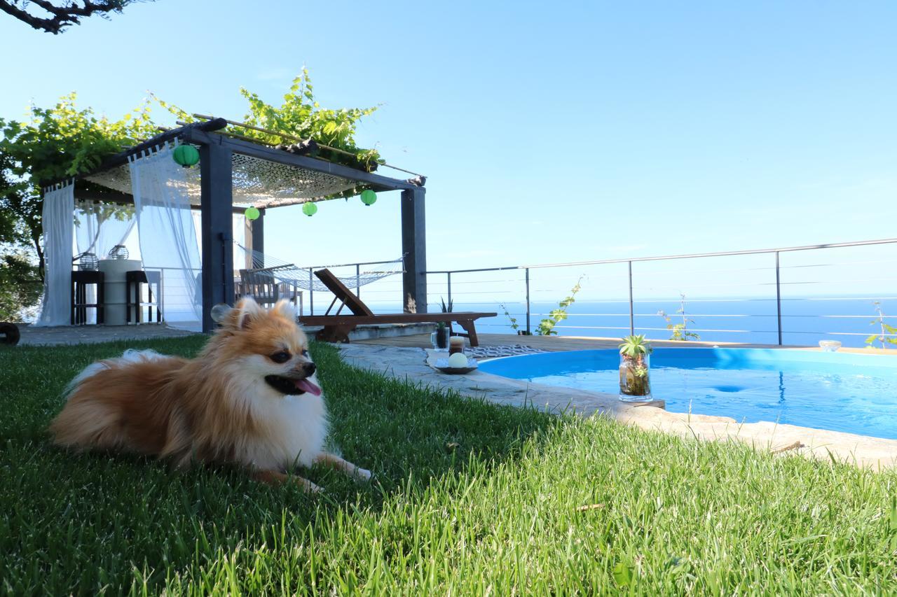 Fakistra'S Blue House Villa Tsagarada Exterior foto